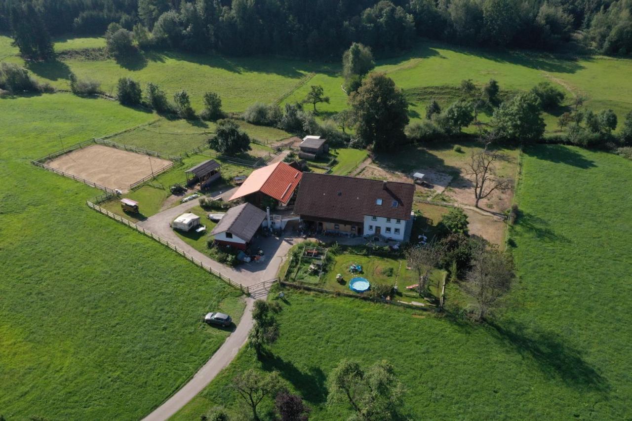 Apartament Carlo Wangen im Allgäu Zewnętrze zdjęcie