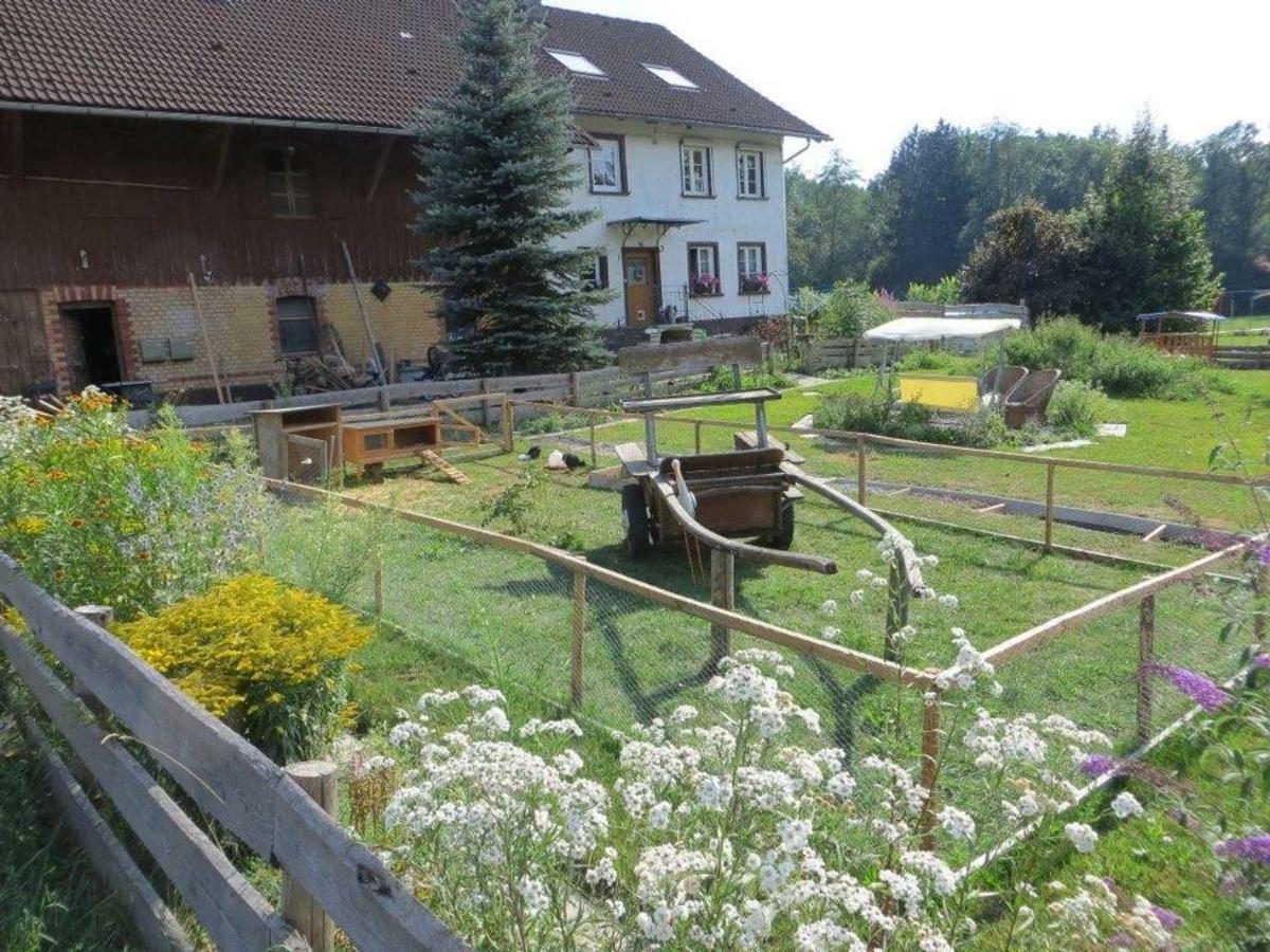 Apartament Carlo Wangen im Allgäu Zewnętrze zdjęcie