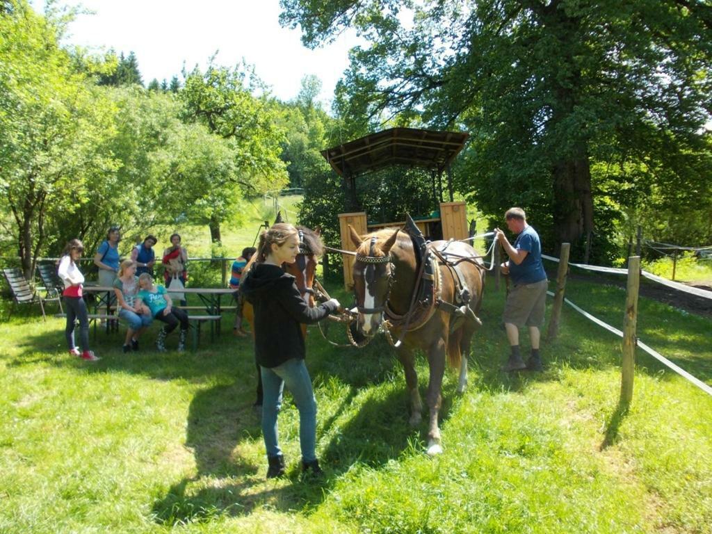 Apartament Carlo Wangen im Allgäu Zewnętrze zdjęcie