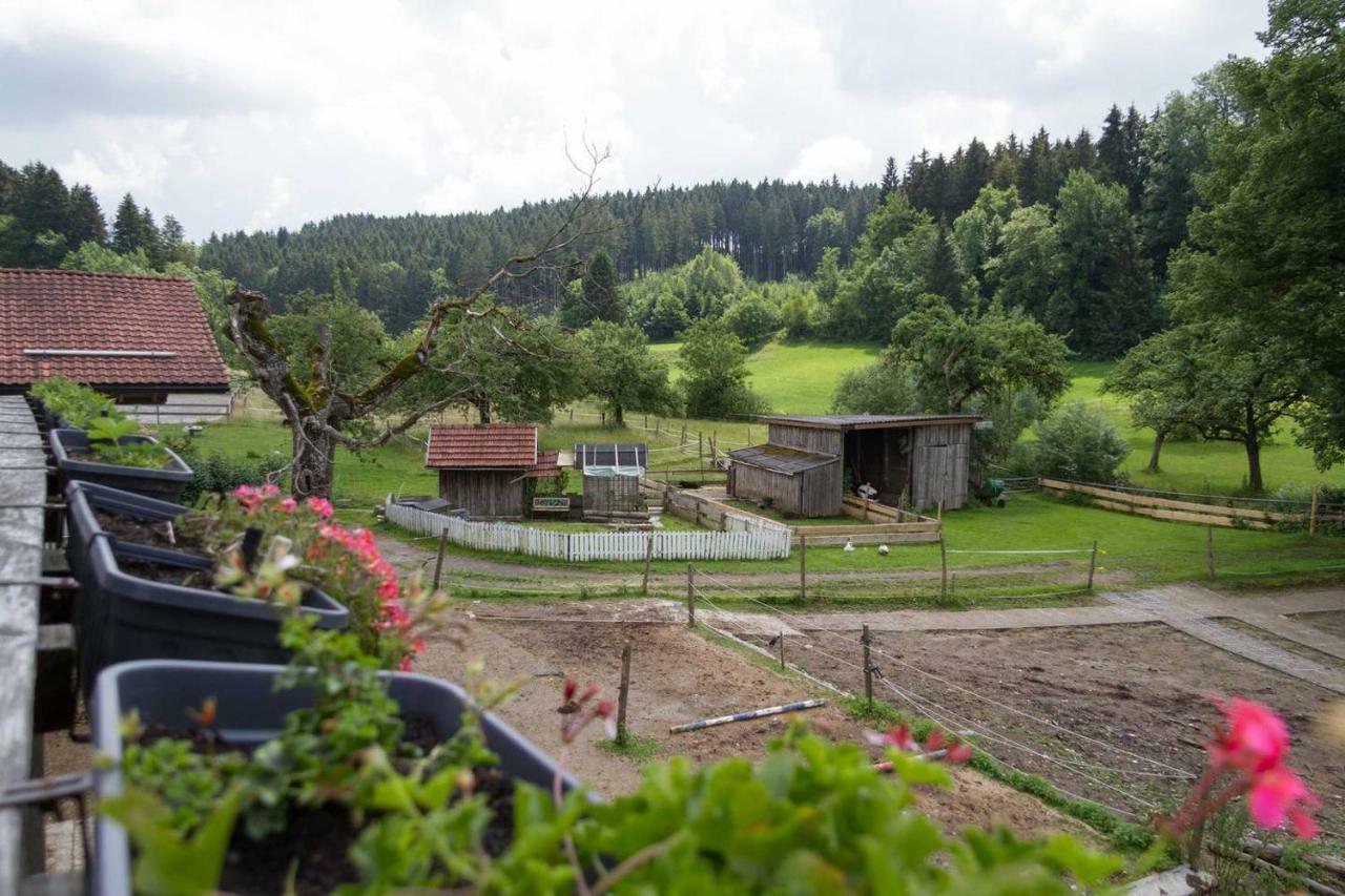 Apartament Carlo Wangen im Allgäu Zewnętrze zdjęcie