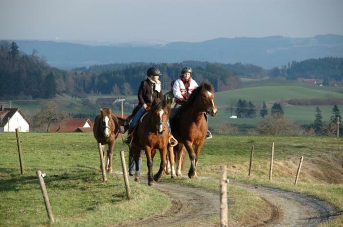 Apartament Carlo Wangen im Allgäu Zewnętrze zdjęcie